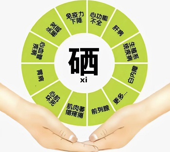 微信图片_20241229012056.jpg