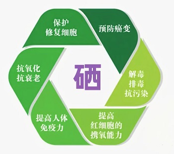 微信图片_20241229012100.jpg